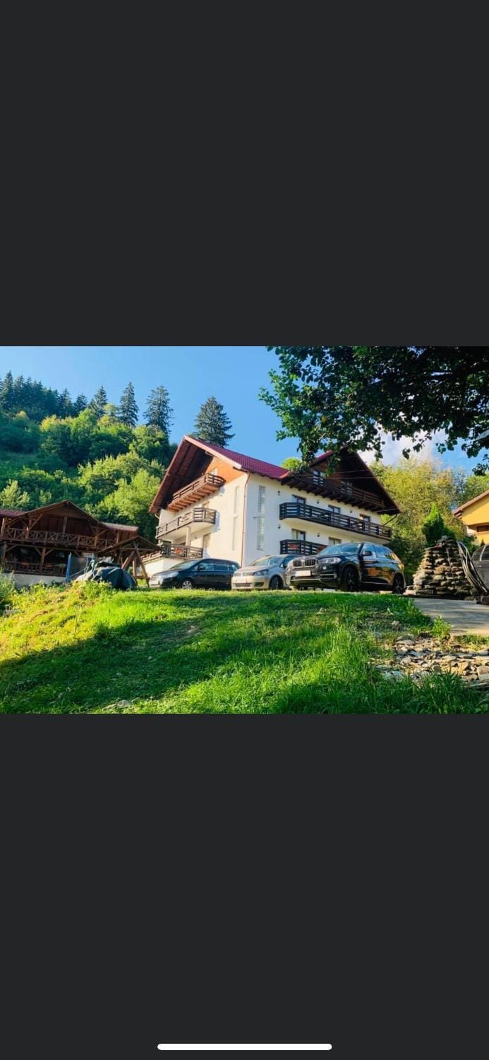 Pensiunea Pietrosul Bed and Breakfast in Romania