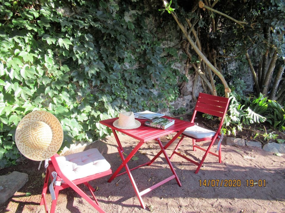 Garden, Decorative detail, Area and facilities