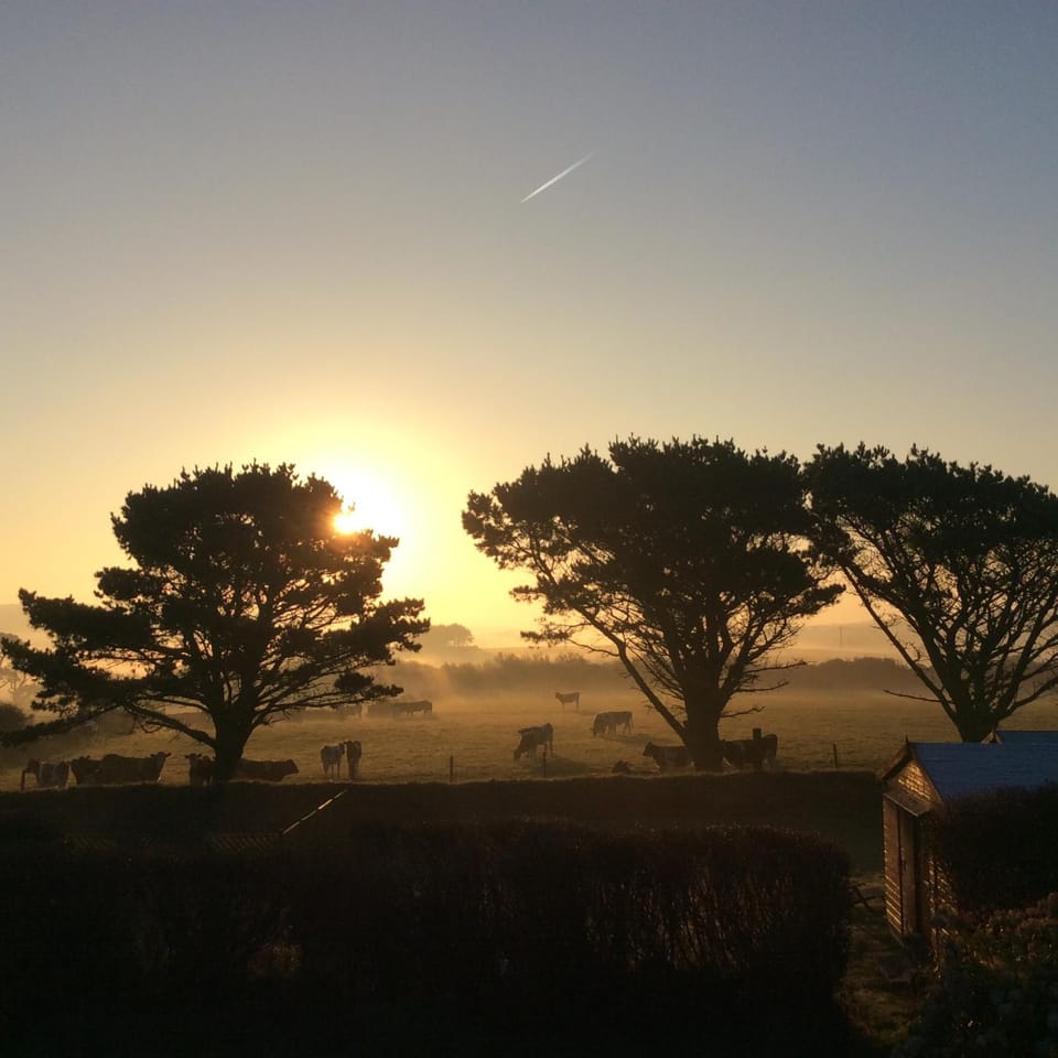 Sunrise