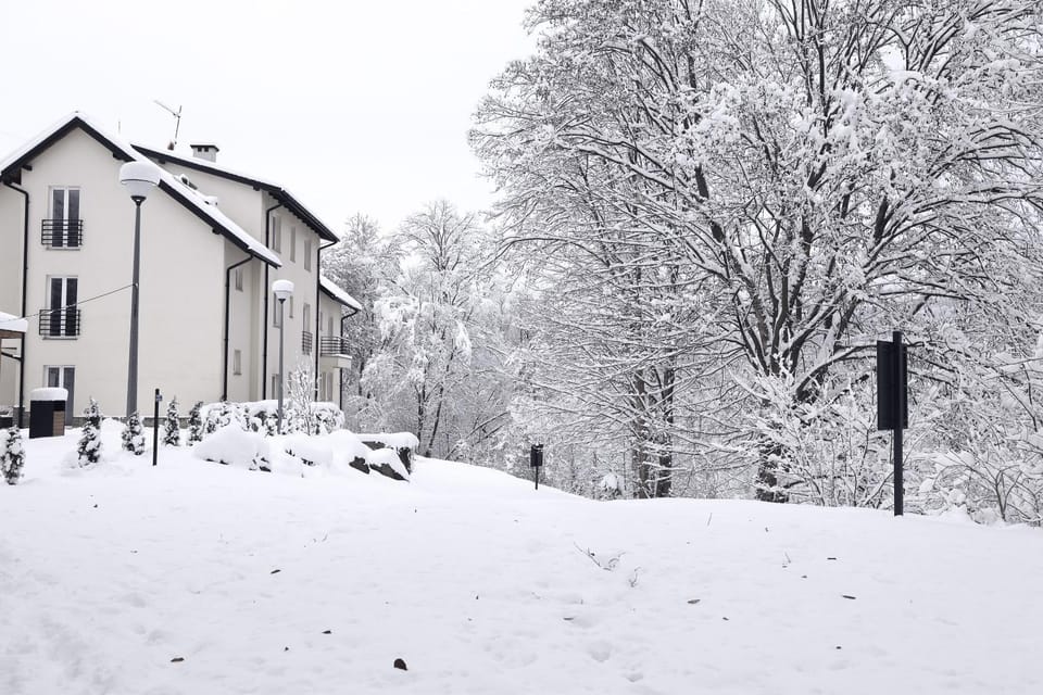 Property building, Day, Natural landscape, Winter, Garden, Garden view, Garden view
