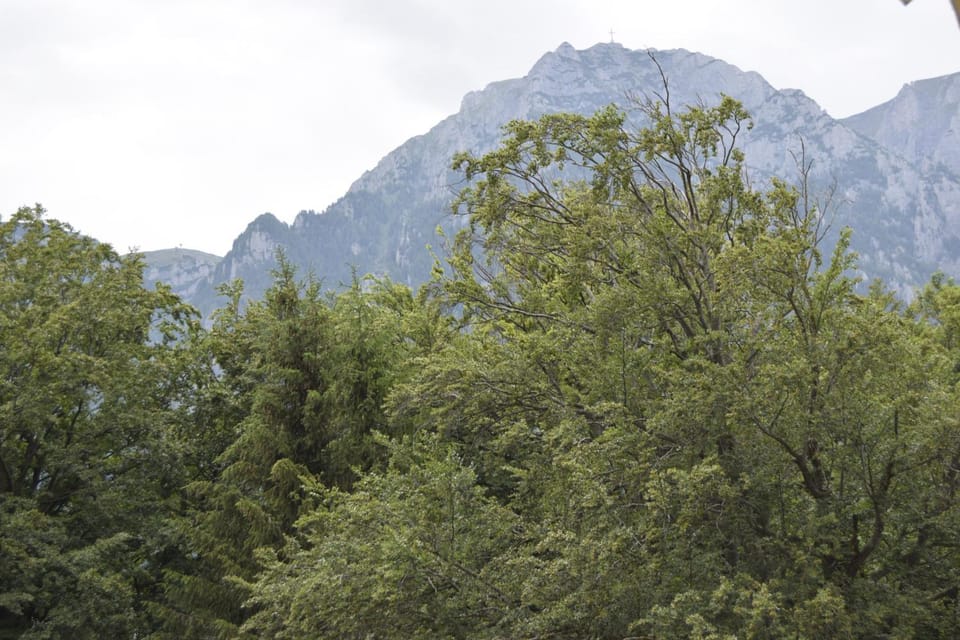 Mountain view