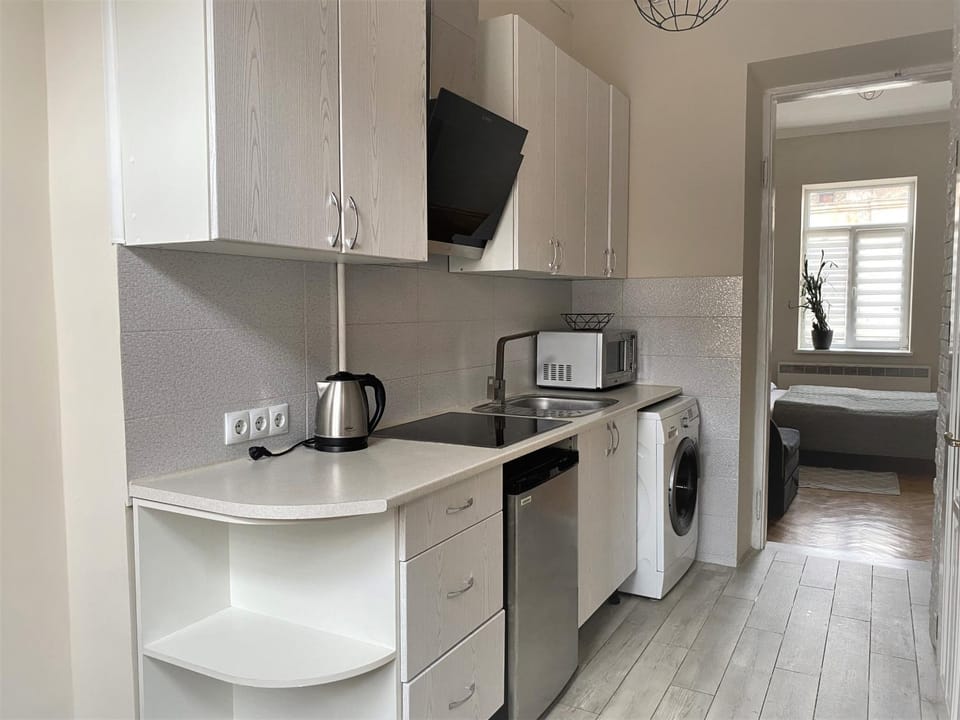 Kitchen or kitchenette, kitchen