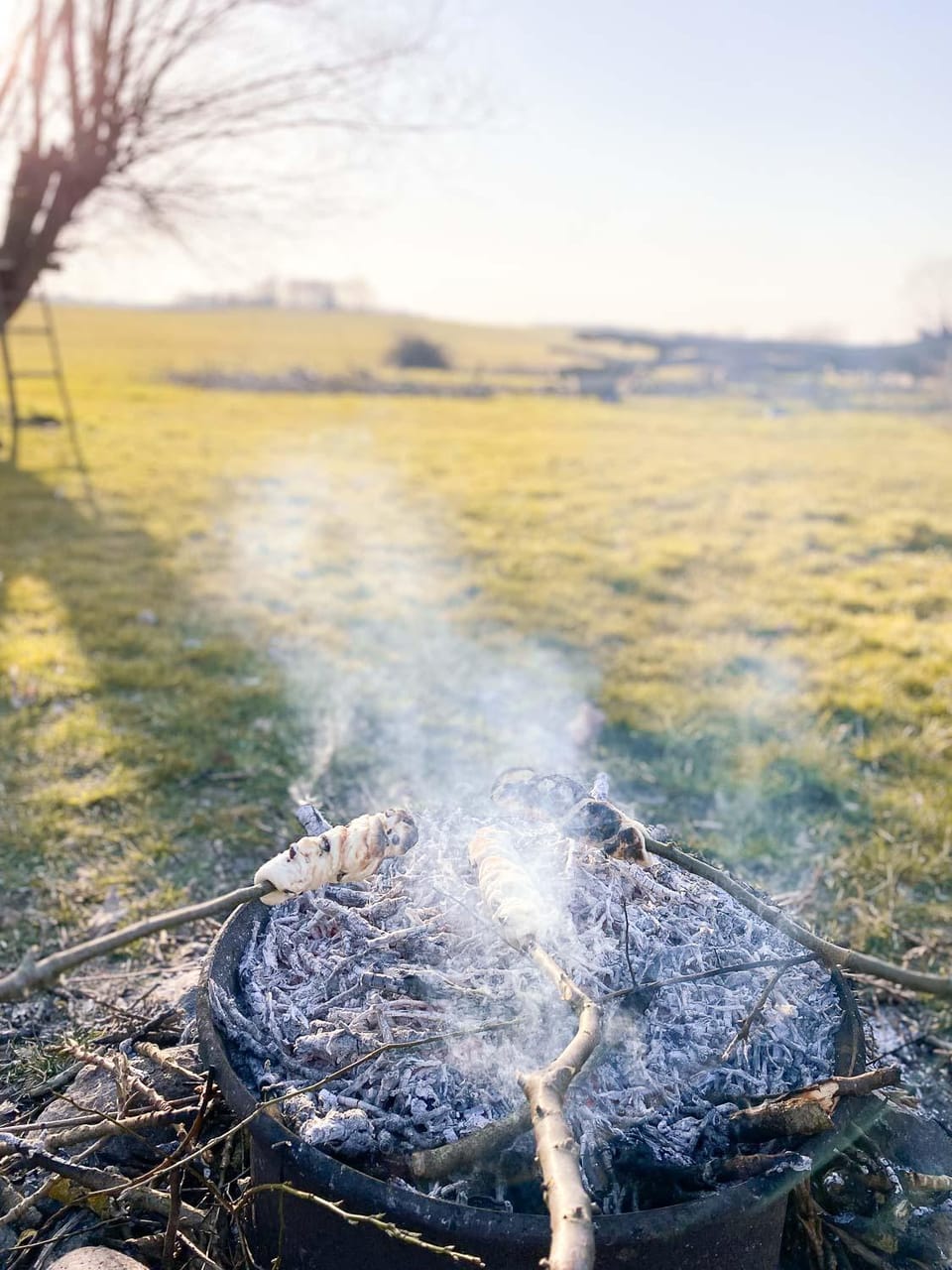Natural landscape, BBQ facilities