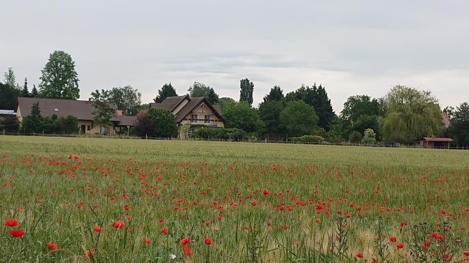 Property building, Neighbourhood, Natural landscape, Garden, Hiking