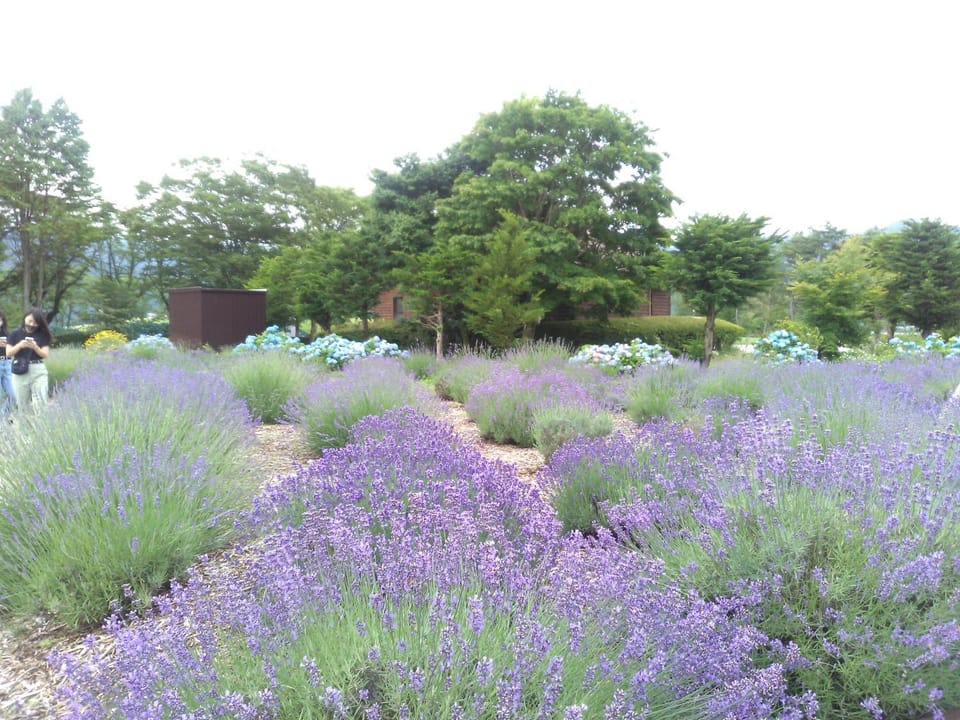 Nearby landmark, Neighbourhood, Natural landscape