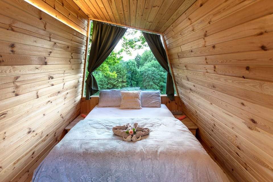 Bed, View (from property/room), Photo of the whole room, Decorative detail, Bedroom