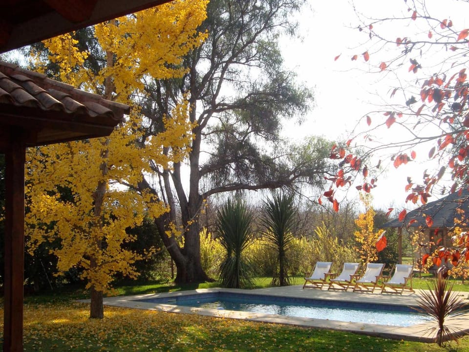Garden, Pool view
