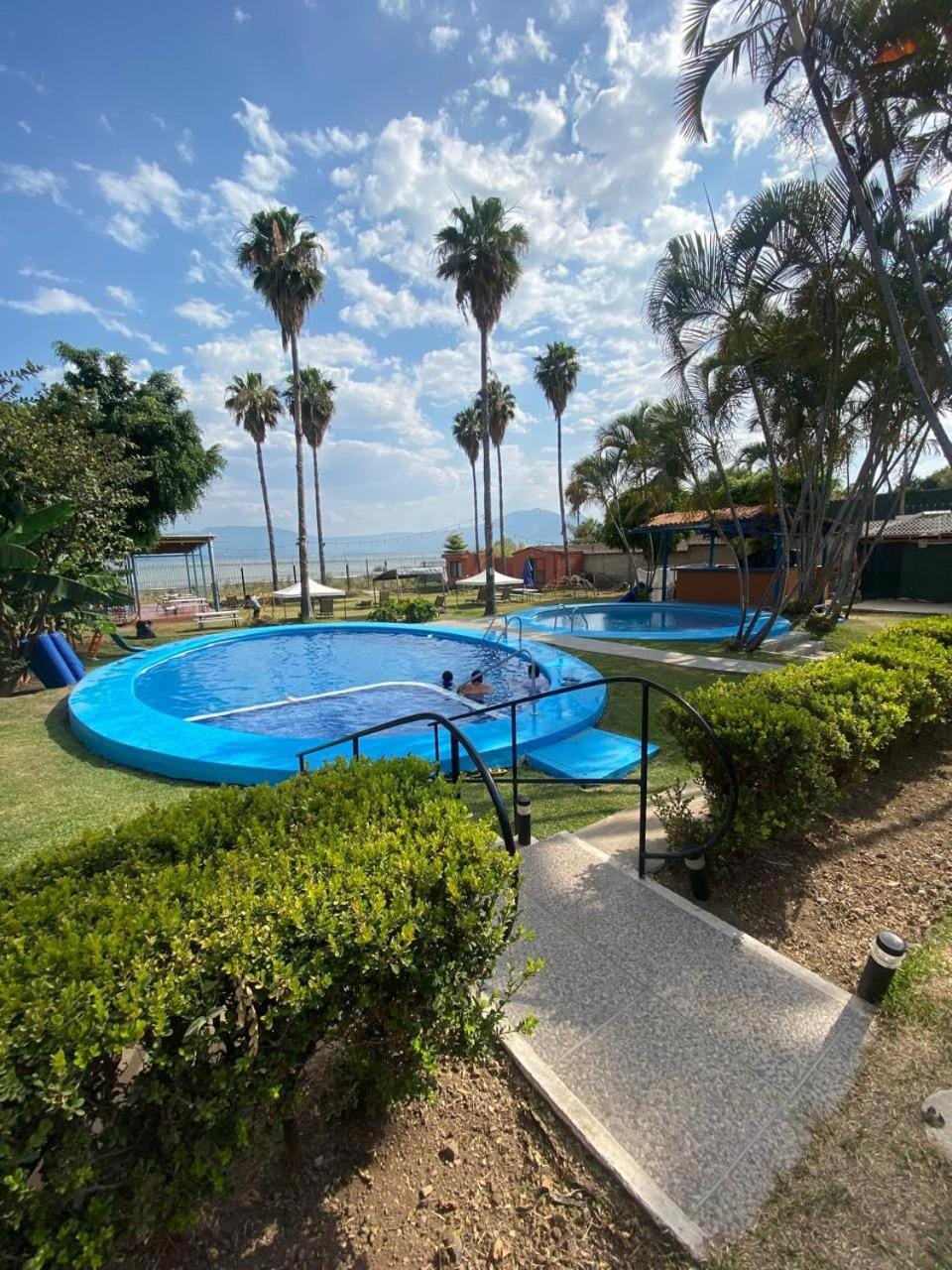 Day, Garden, Pool view, Swimming pool