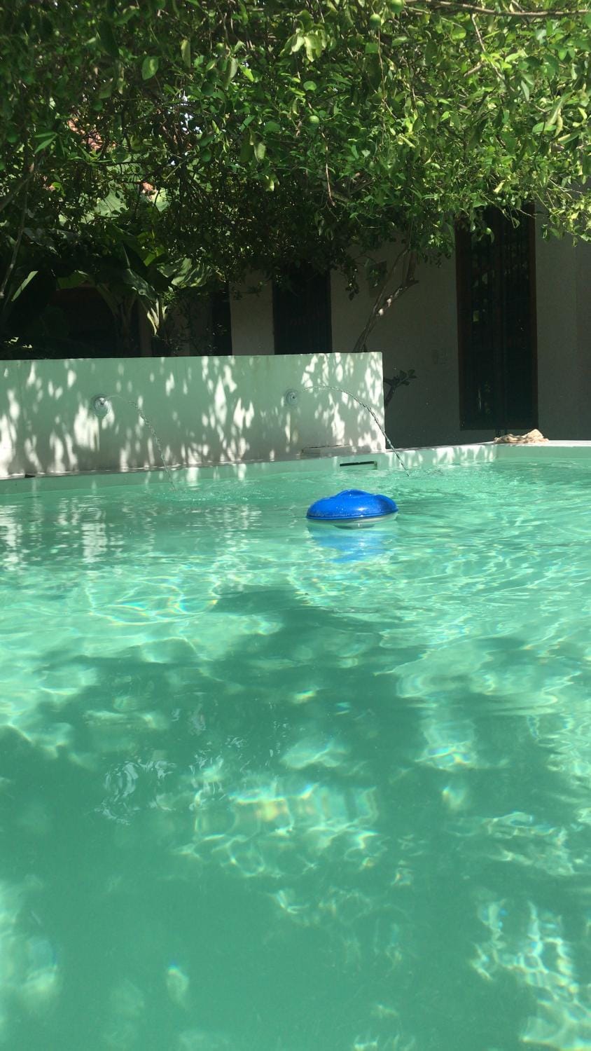 Swimming pool, Swimming pool