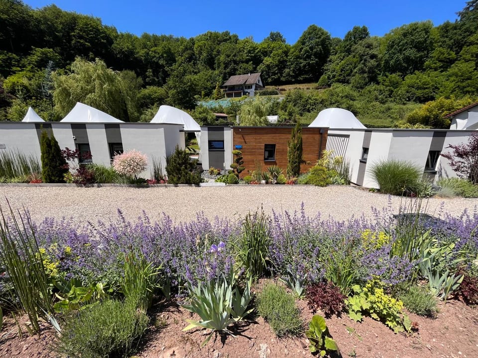 Lodge Starlette Spa privatif à Meisenthal House in Grand Est
