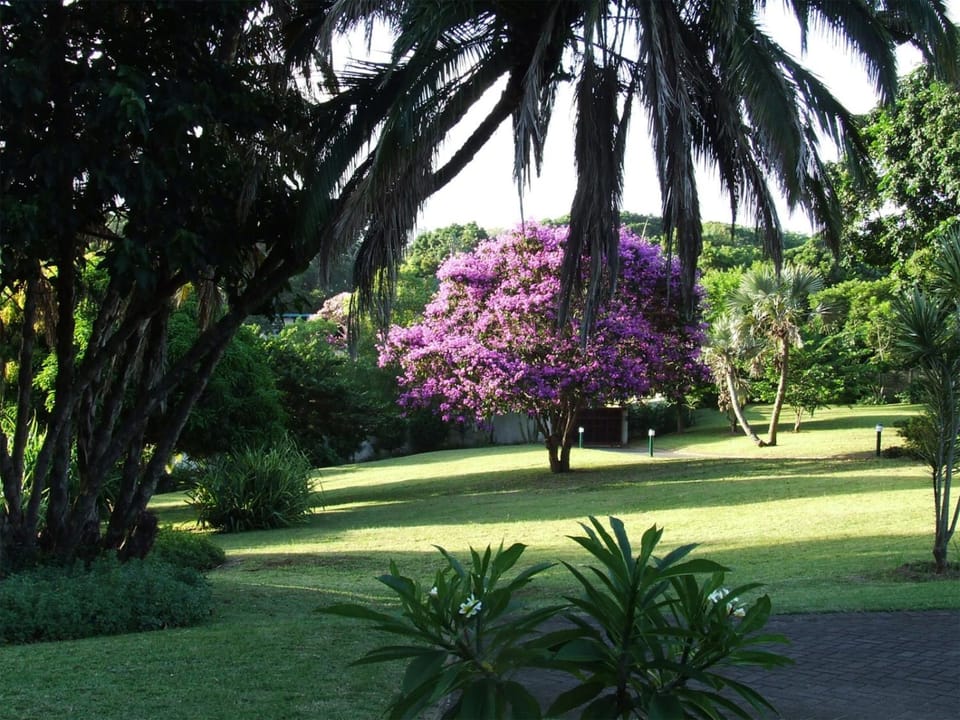 Garden, Garden view