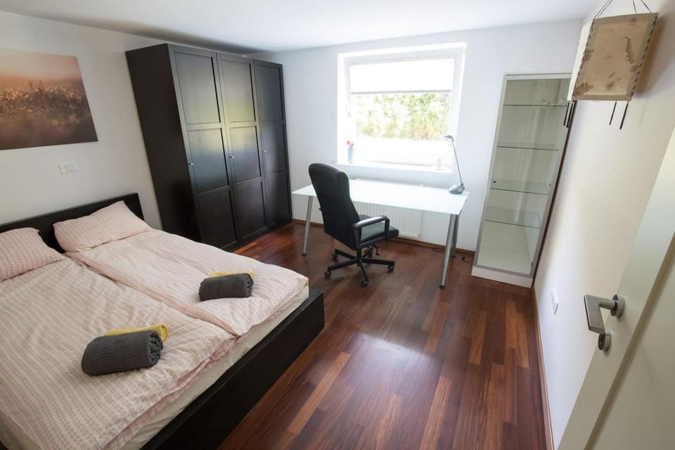 Spacious apartment with garden and free parking Apartment in Ljubljana