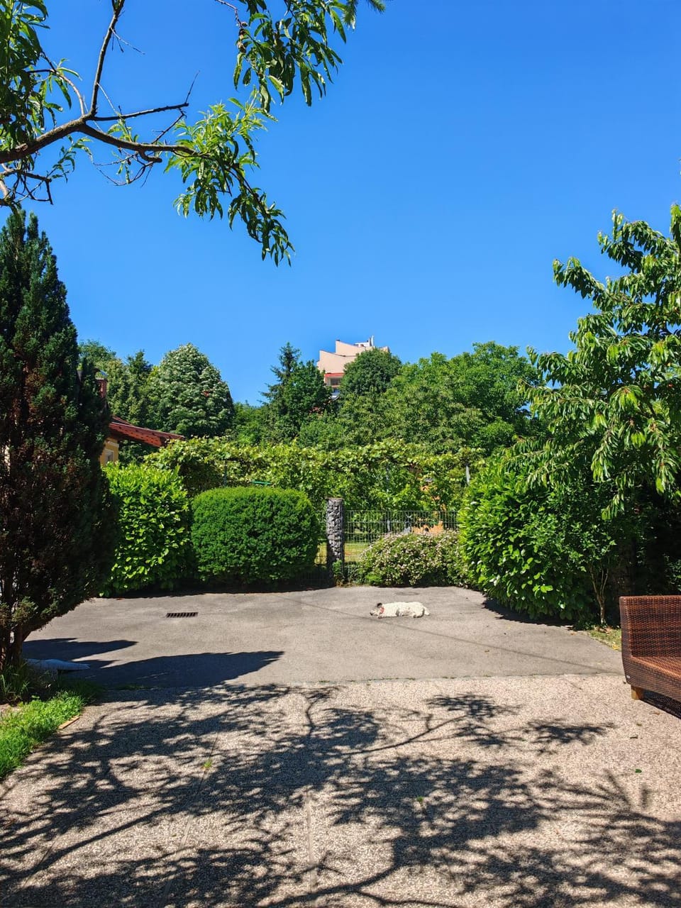 Spacious apartment with garden and free parking Apartment in Ljubljana