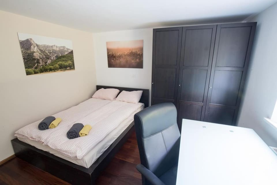 Spacious apartment with garden and free parking Apartment in Ljubljana