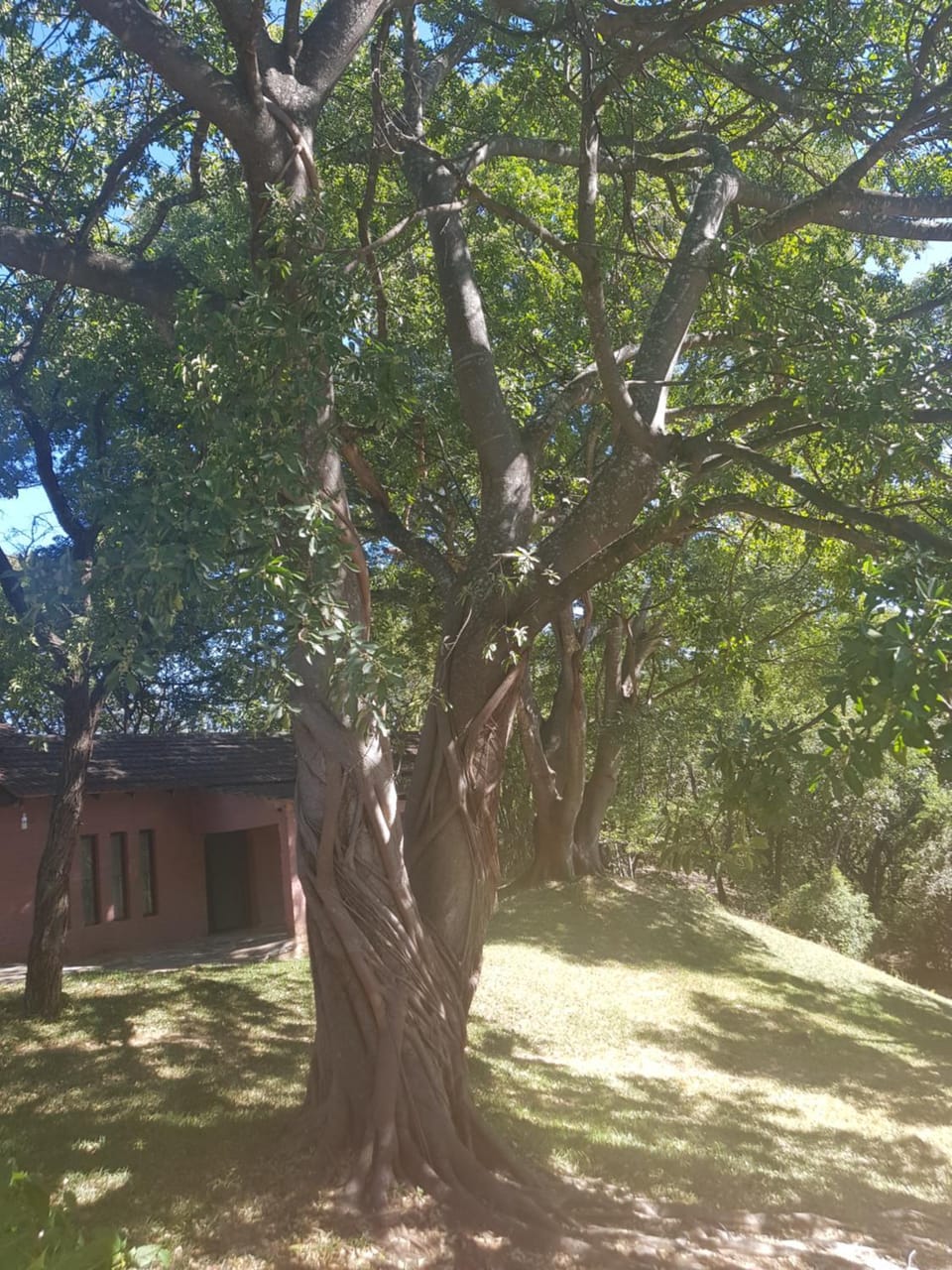 Nyangombe Backpackers Hostel in Zimbabwe