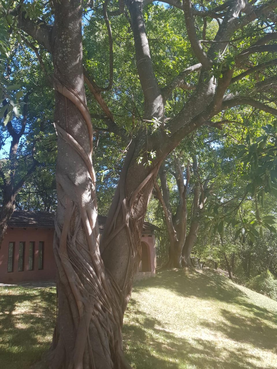 Nyangombe Backpackers Hostel in Zimbabwe