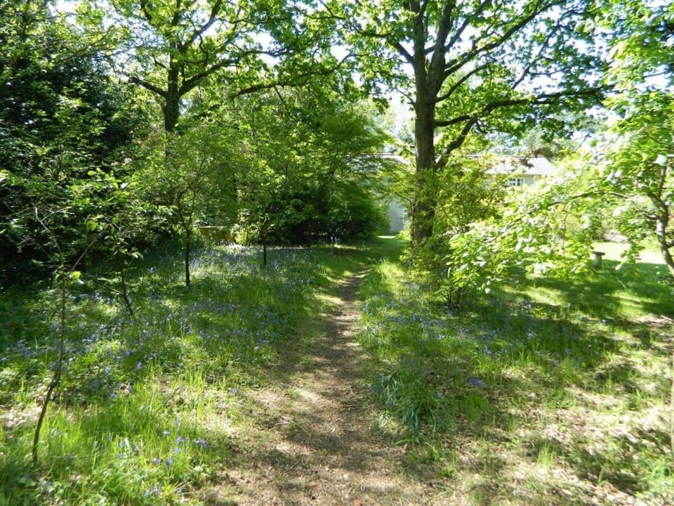 River Cottage a country retreat in wooded gardens House in Purbeck District