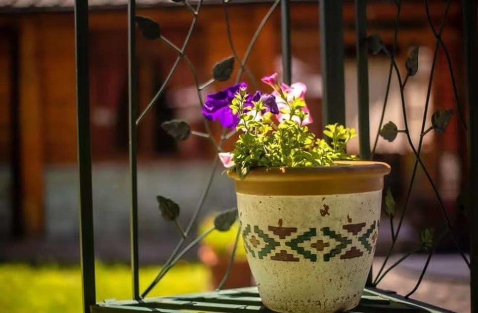Day, Garden