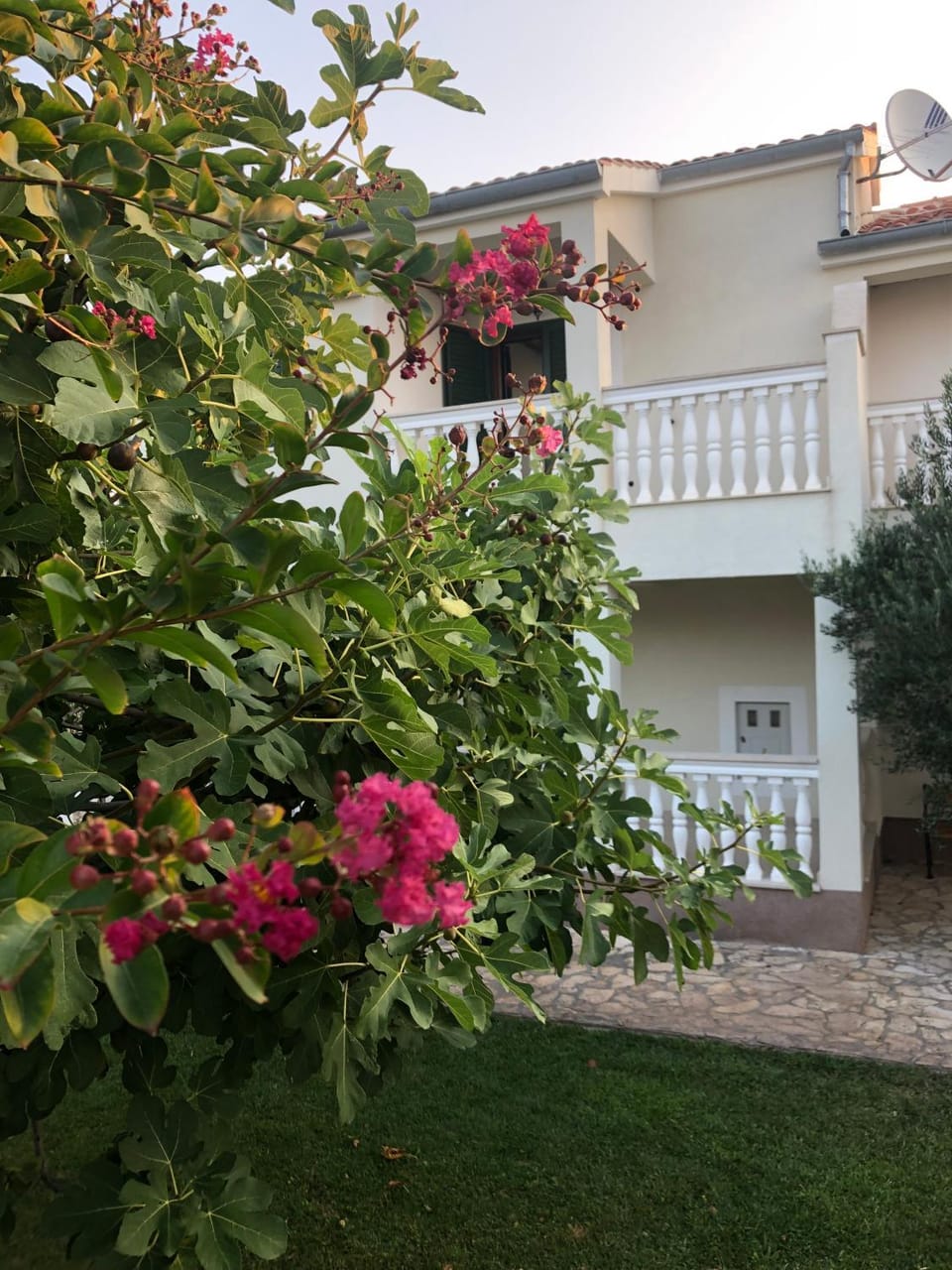 Property building, Garden