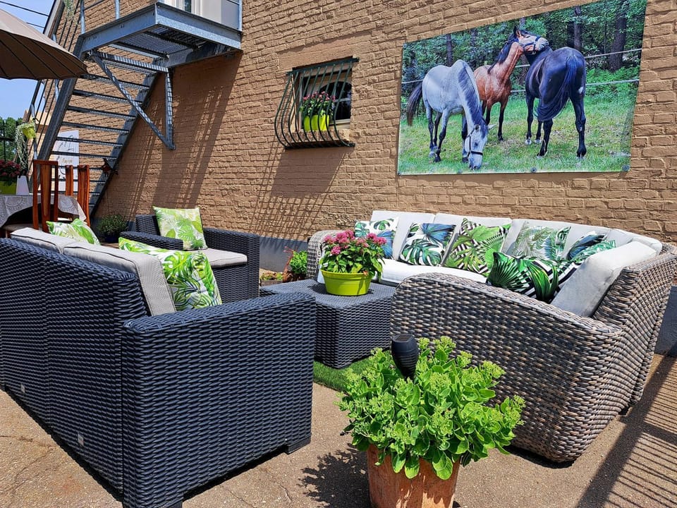 King of Gold Stables appartement met stalling voor 5 paarden Apartment in Flanders