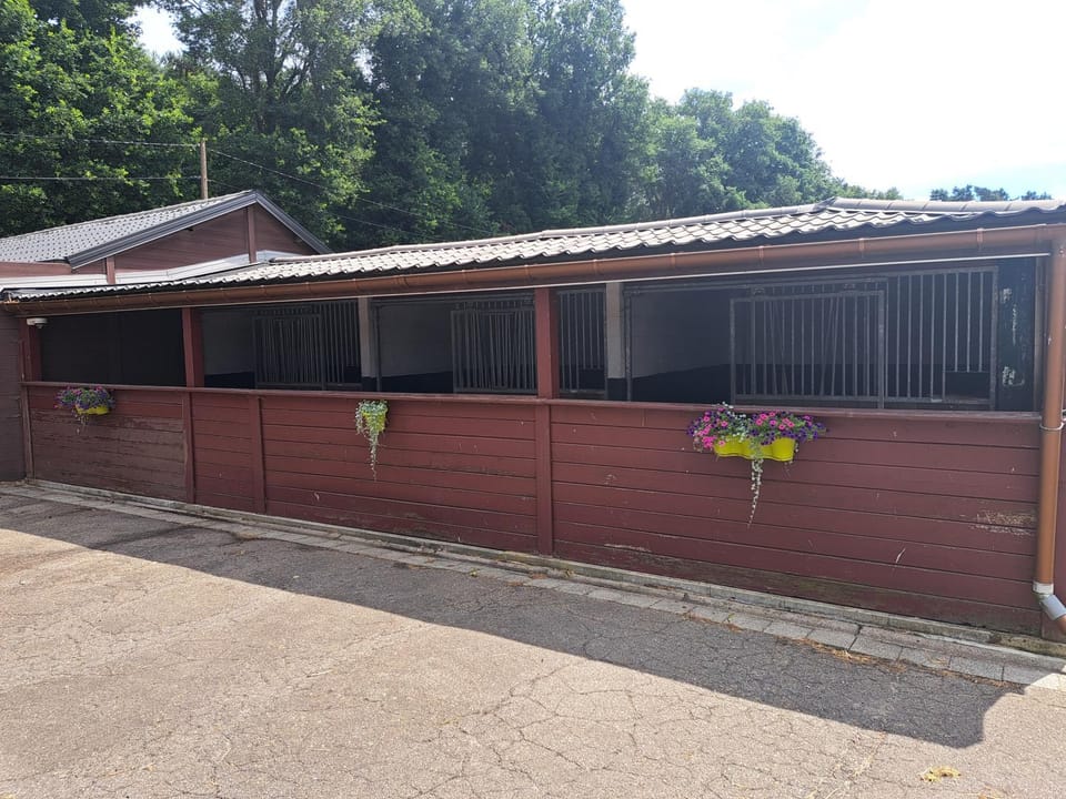 King of Gold Stables appartement met stalling voor 5 paarden Apartment in Flanders