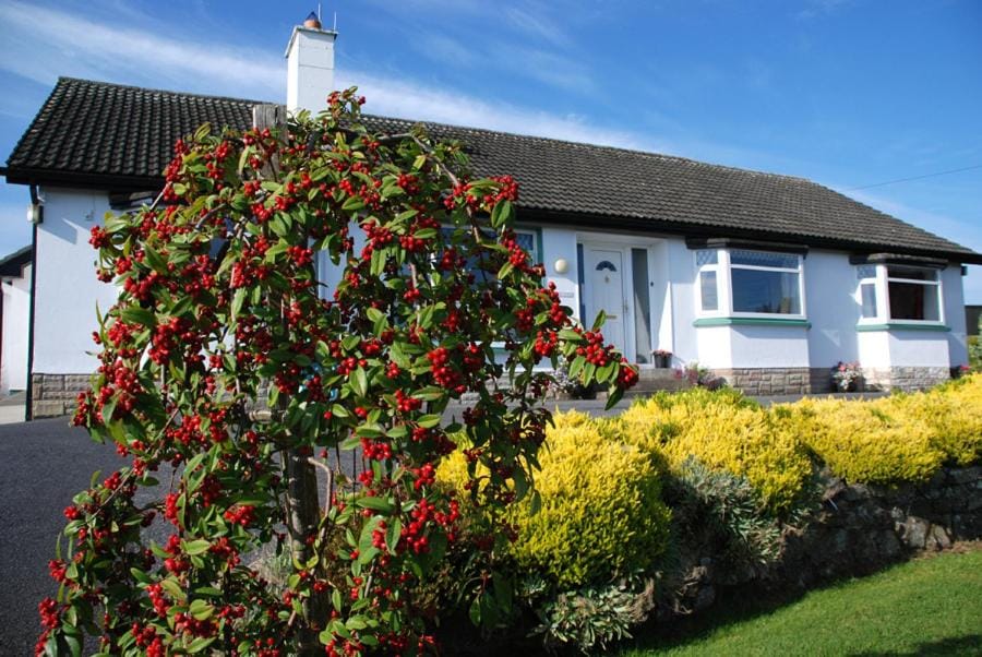 Castle View B&B Bed and Breakfast in County Kilkenny