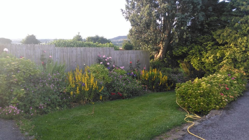 Castle View B&B Bed and Breakfast in County Kilkenny