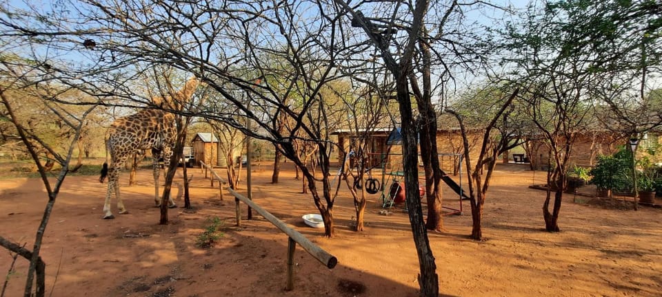 462 Bosbok Chalets Apartment in South Africa