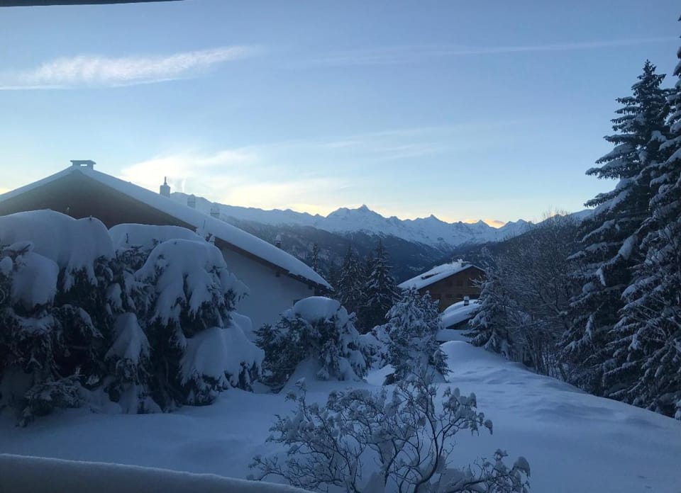 Natural landscape, Winter, View (from property/room)