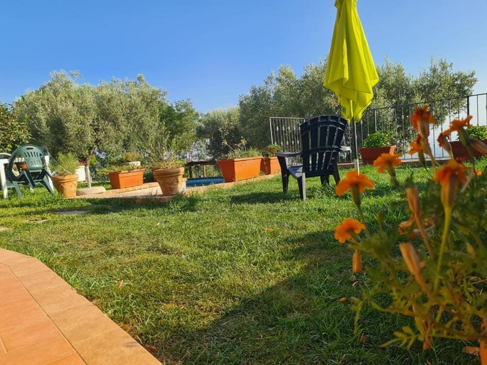 Day, Garden