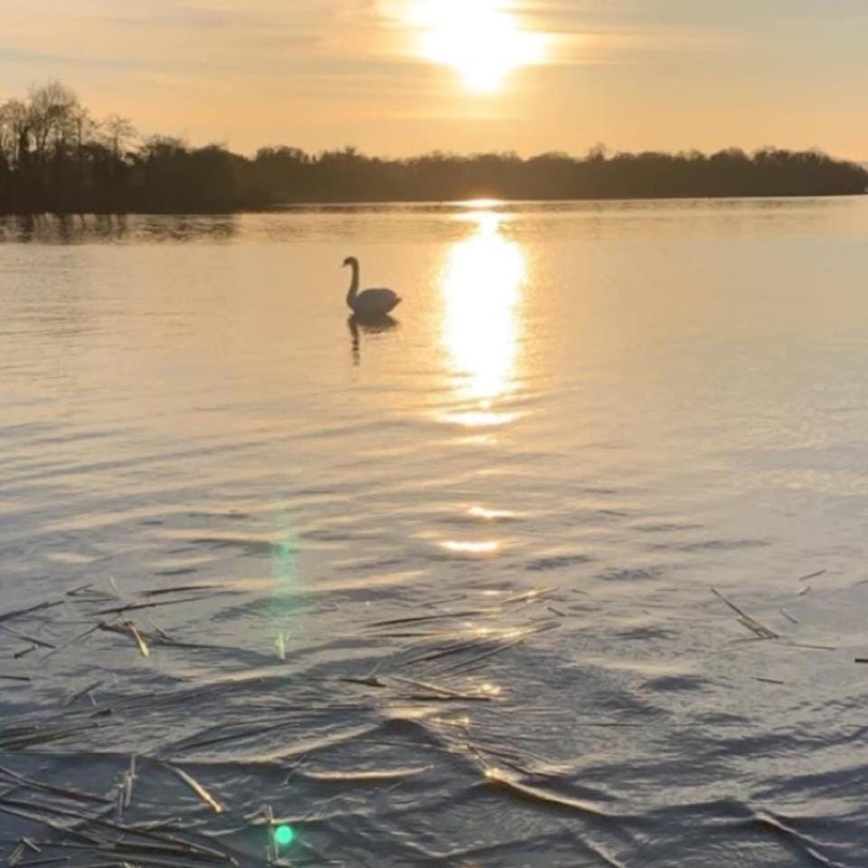Lake view, Sunset