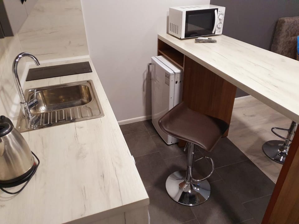 Apartservice in Uzhgorod s39 Apartment in Slovakia