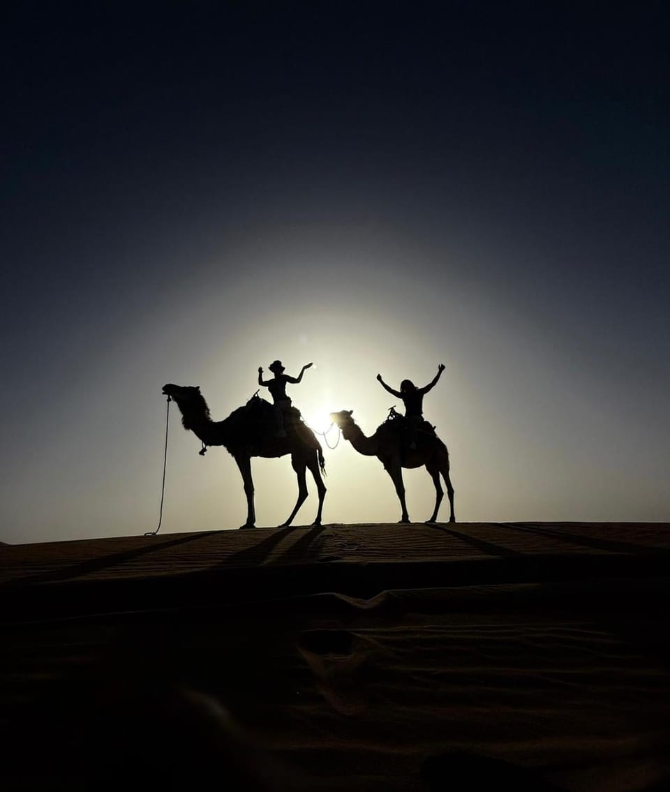 Day, Animals, Sunset
