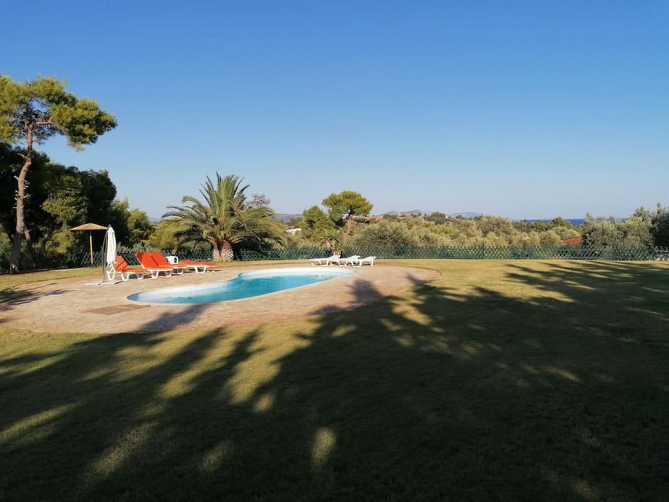 Garden, Swimming pool, sunbed