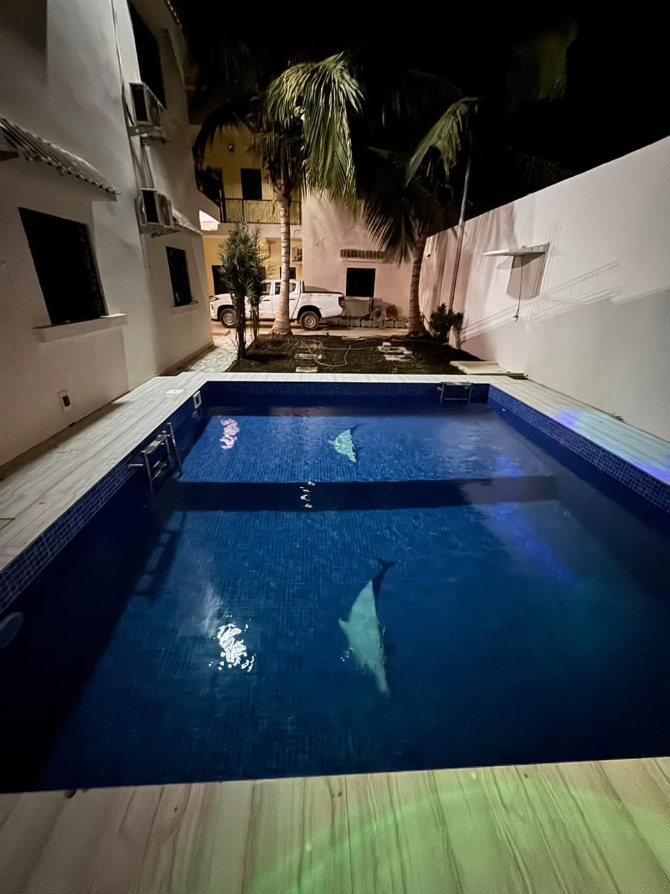 Pool view