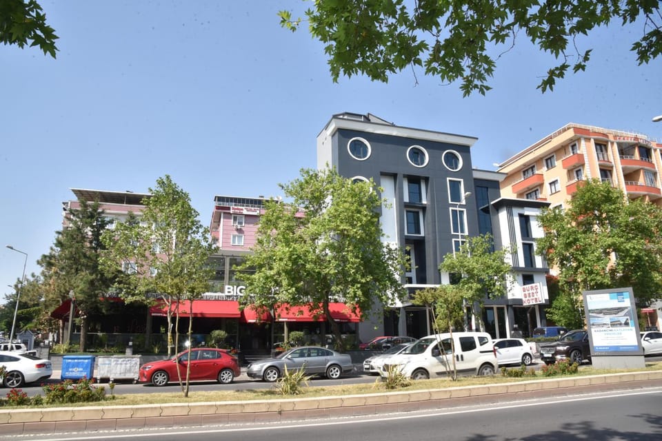 Property building, Garden