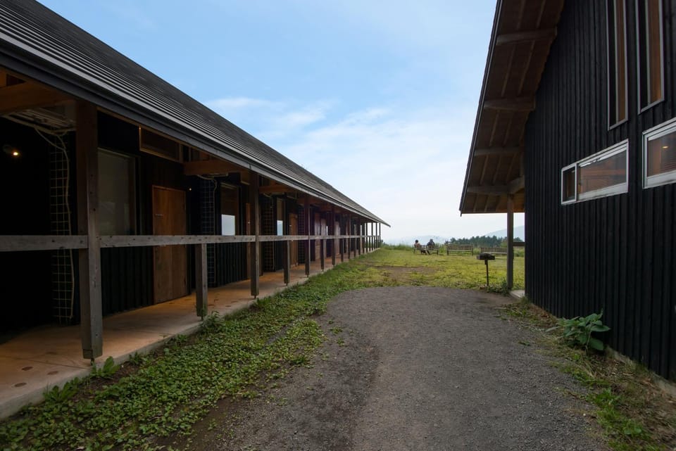 Property building, Facade/entrance, Garden, Bathroom