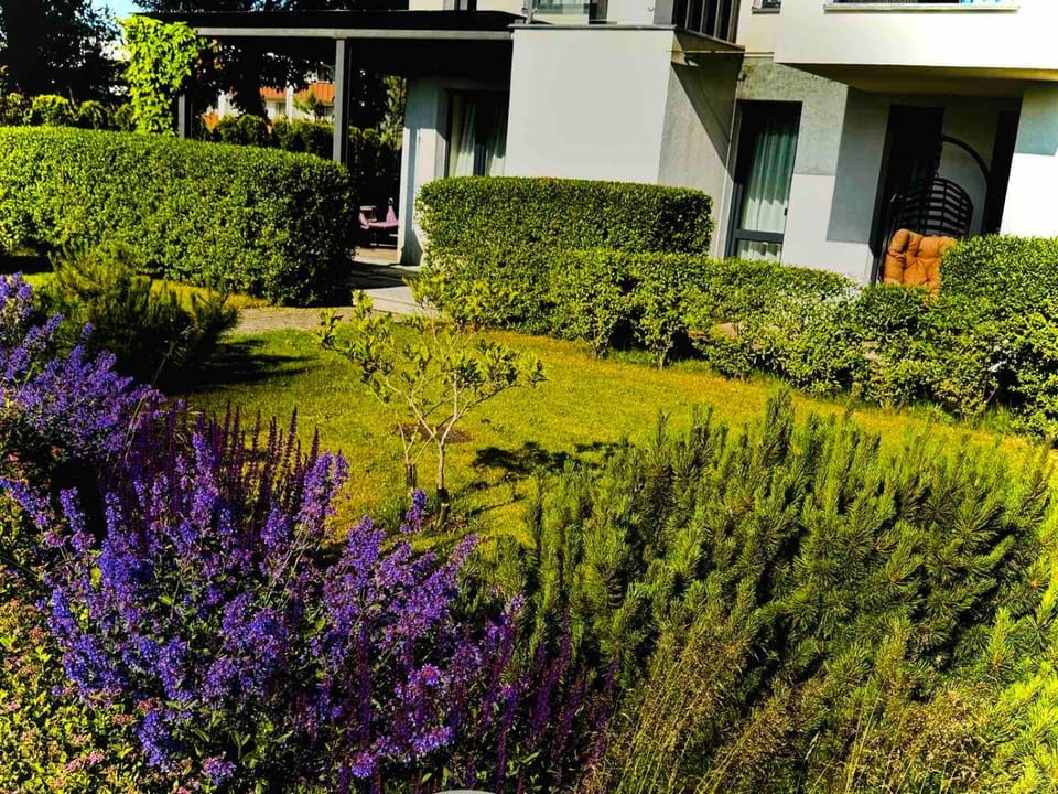 Luxurious golden dune apartment by the sea Apartment in Palanga