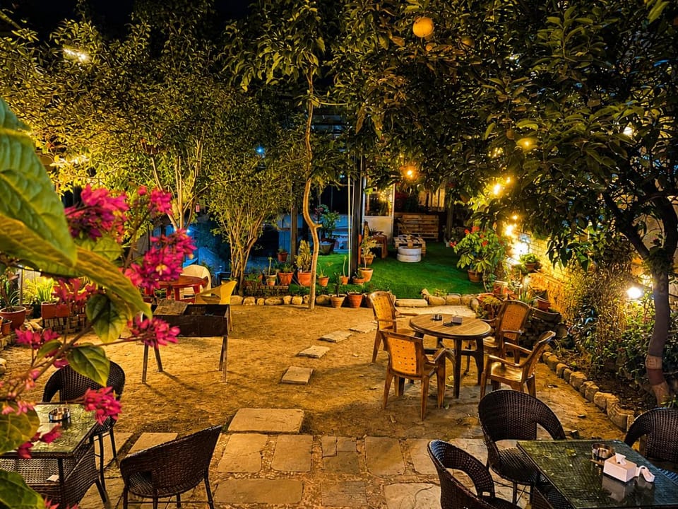 Night, Garden view