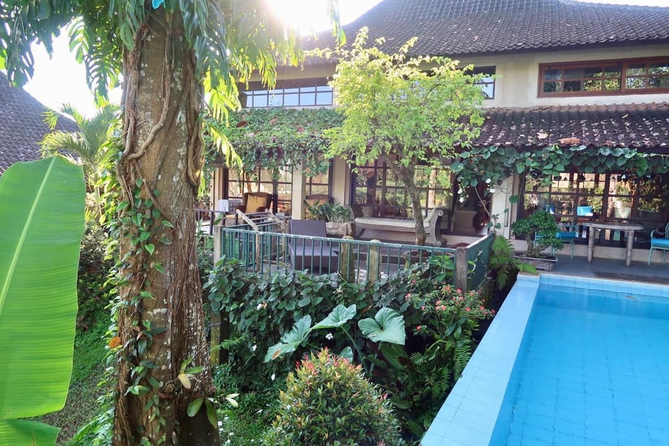 Living room, Area and facilities