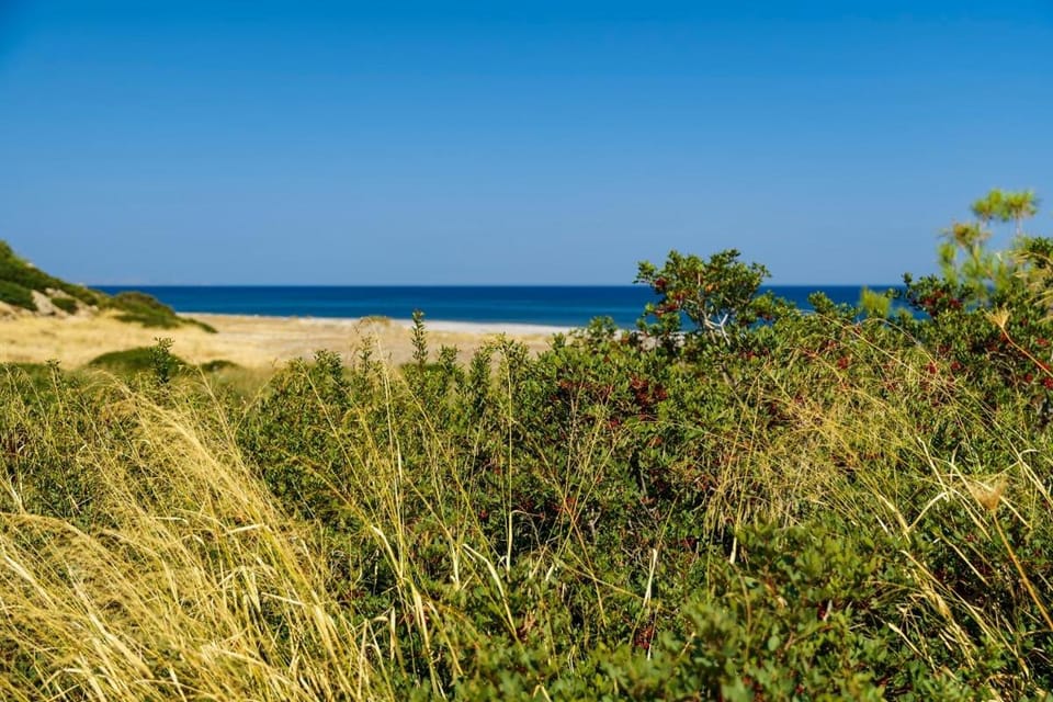 Natural landscape, Beach, Hiking, Sea view