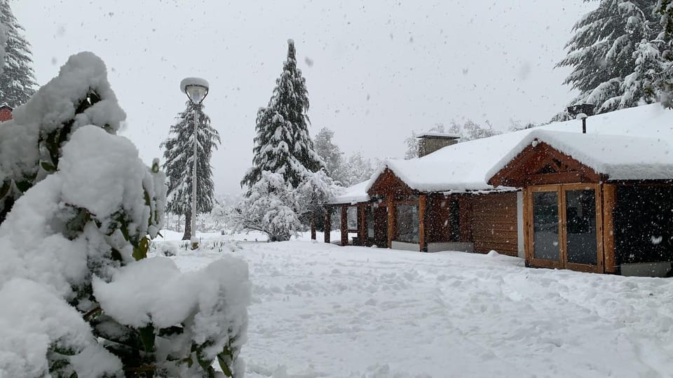 Property building, Winter