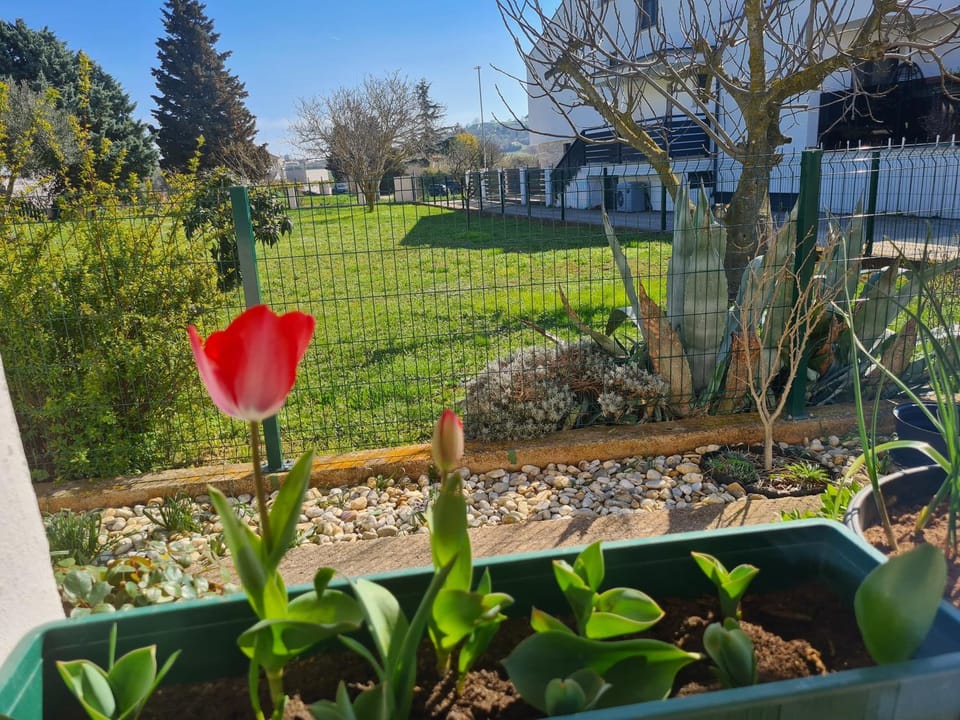 Garden, Garden view