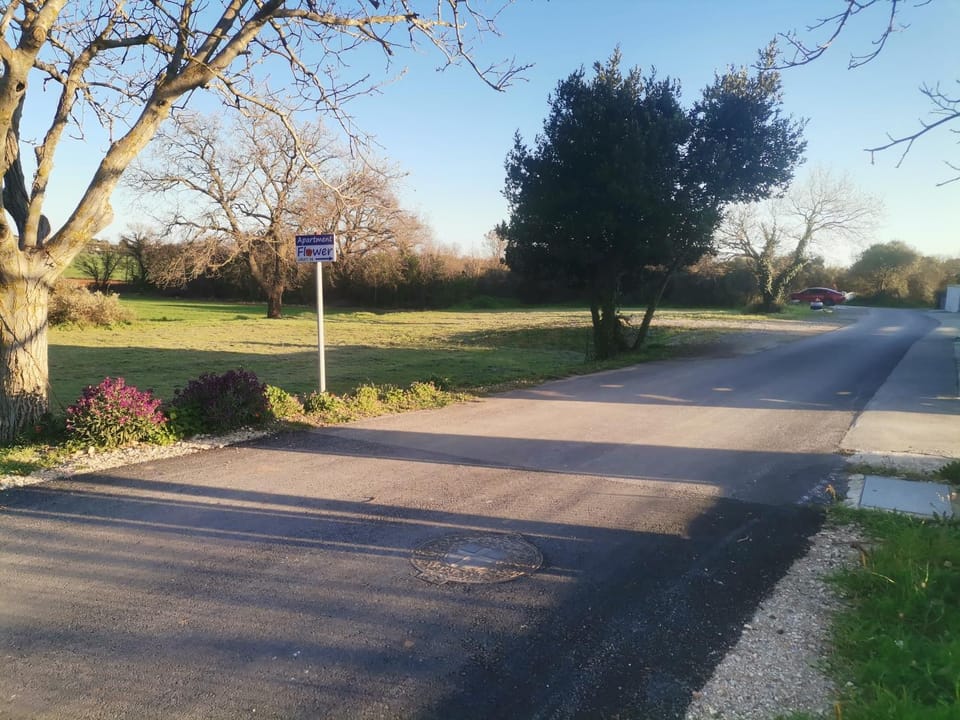 Neighbourhood, Other