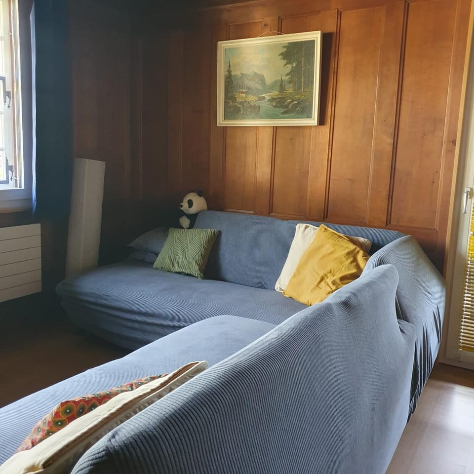 Traditional Swiss-Flat Apartment in Interlaken