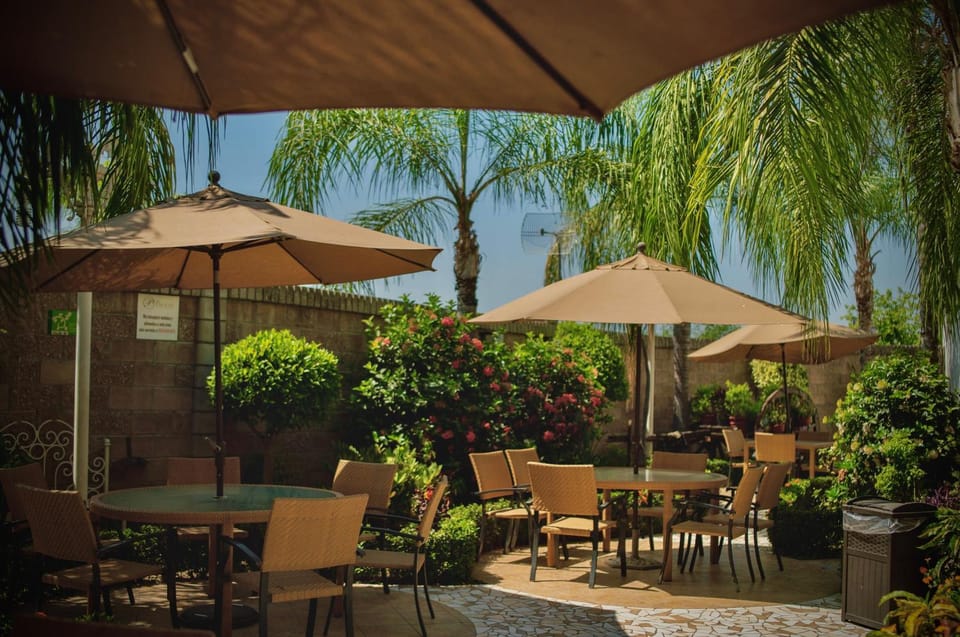 Garden, Balcony/Terrace