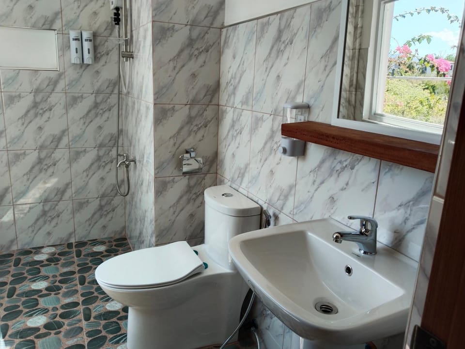 Toilet, Bathroom, bidet