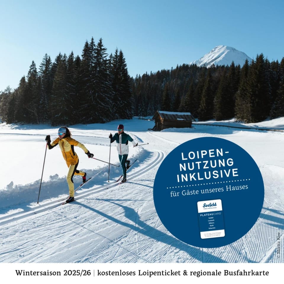 Winter, Skiing