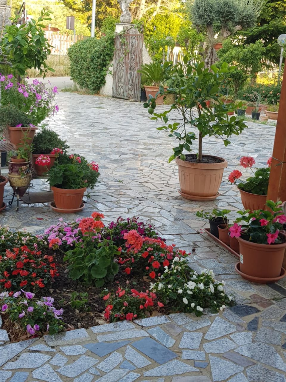 La tenuta di panfilo Bed and Breakfast in Abruzzo
