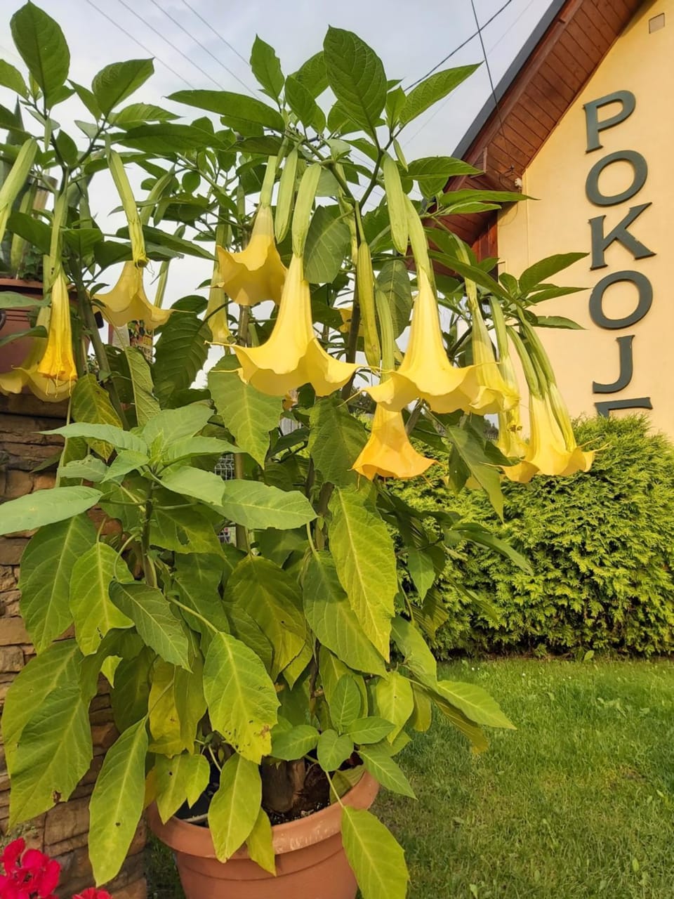 KAPRYS Vacation rental in Poland